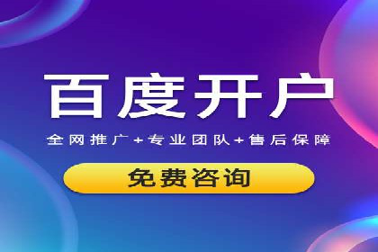 竞价端口开户全攻略，案例分析